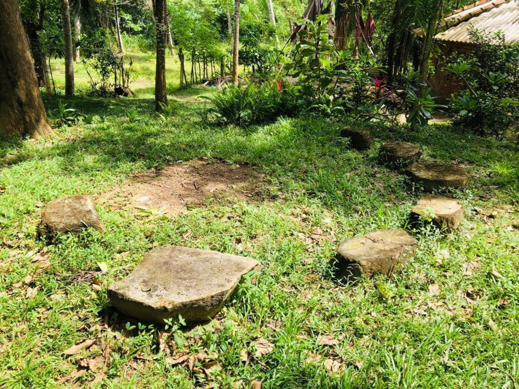 迪克韦勒 Hidden Well Hiriketiya旅舍 外观 照片